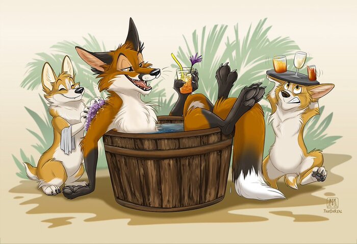 CorgiSpa , Tanidareal, Furry Canine, Furry Fox, Furry Dog, Furry feral, , , Furry Art, , Telegram ()