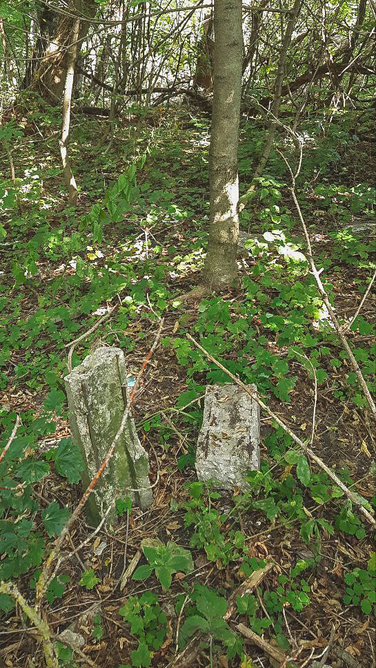 Artifacts of two almost extinct civilizations - My, Collapse of the USSR, Ruins, Count's ruins, Mobile photography, History, Pioneer camp, Chapel, Architecture, Architectural monument, Soviet architecture, Thicket, Memory, Monument, sights, Local history, Longpost