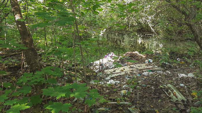 кто сумеет различить здесь бассейн?