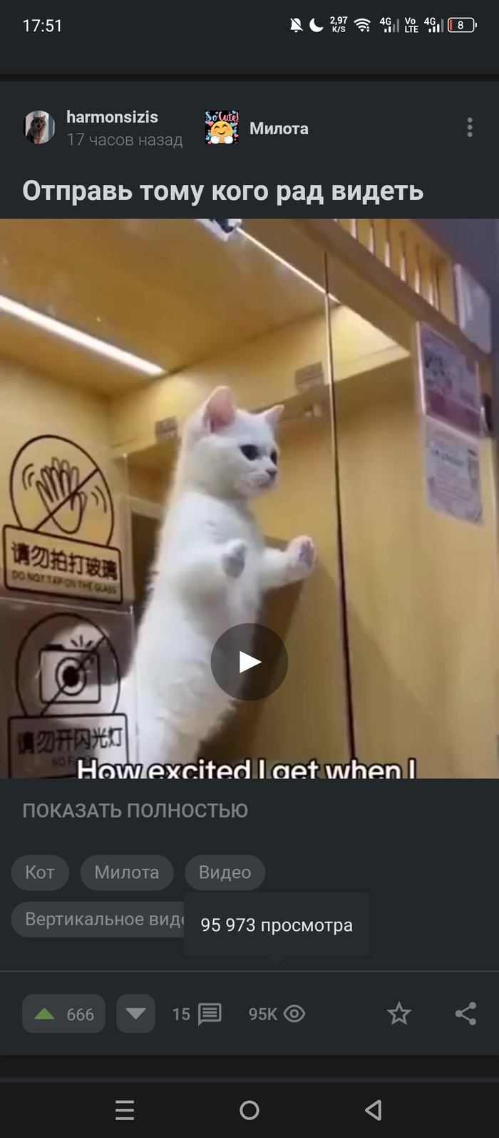 Спасибо милые