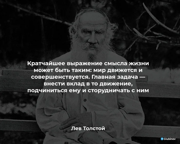 The meaning of life - Quotes, Literature, A life, Picture with text, Wisdom, Lev Tolstoy, Philosophy, Russian literature, Writers, Thoughts