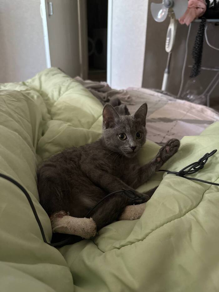 Как лечить обширные раны