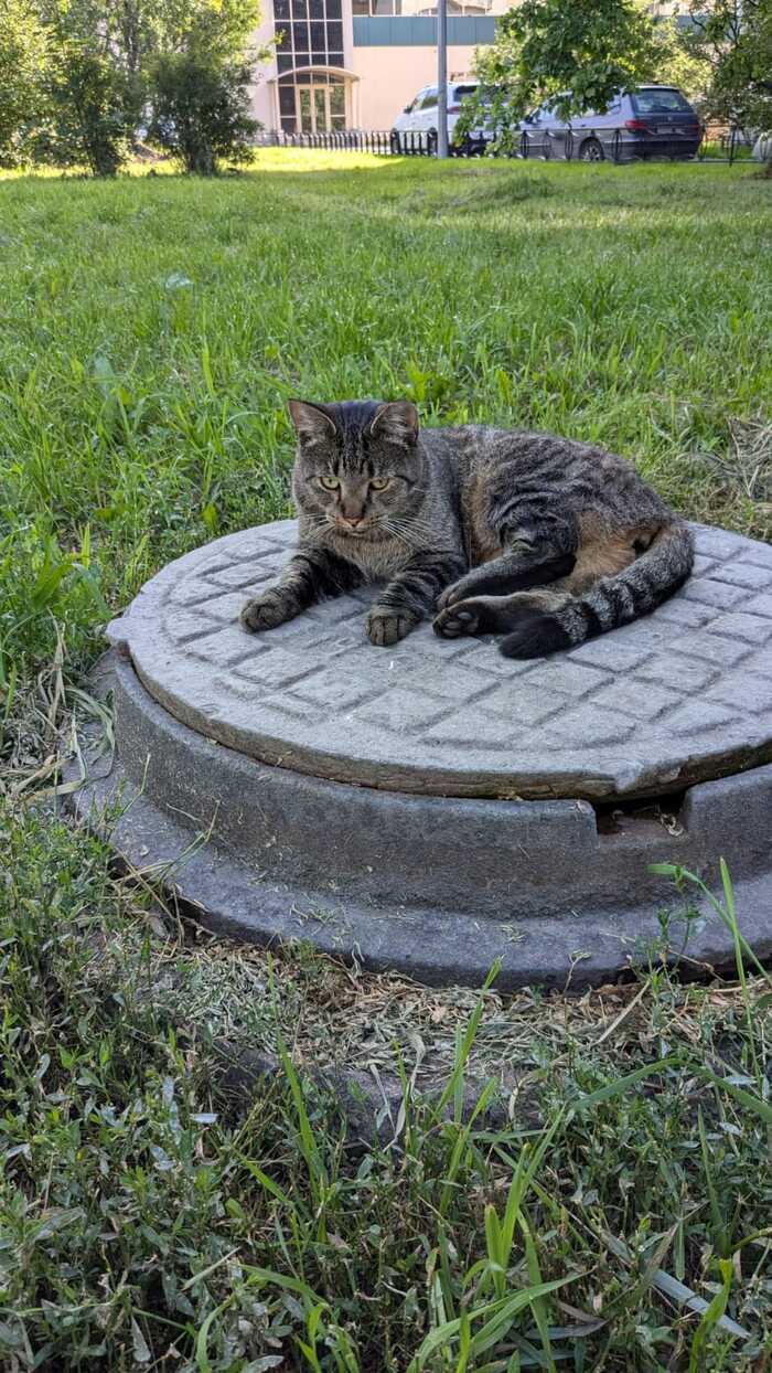  .   ,  ,  -,  ,  ,  ,   , 