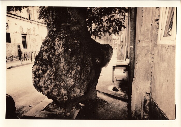 20х30 см, Бромэкспресс-1 1991, снято осенью 2023, напечатано 05/2024