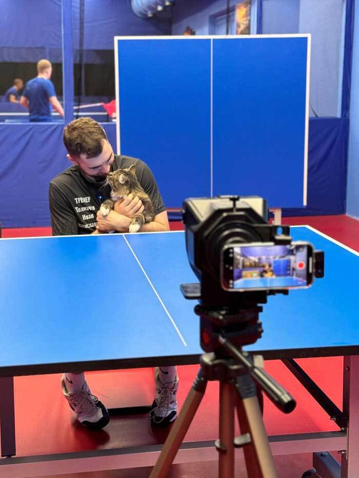 ArtTT club and cat Topsik - Table tennis, cat, Video, Video VK, Longpost