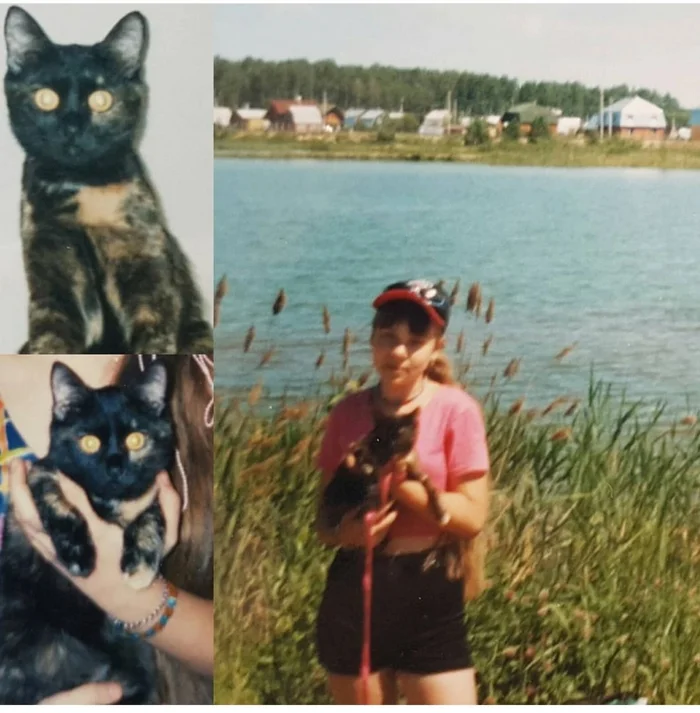 Before after (1996) - My, cat, Childhood memories, Childhood of the 90s, 90th, Memories, Friend, Life stories, Retro, Old photo, Pets, Kindness, Love, A life, A wave of posts