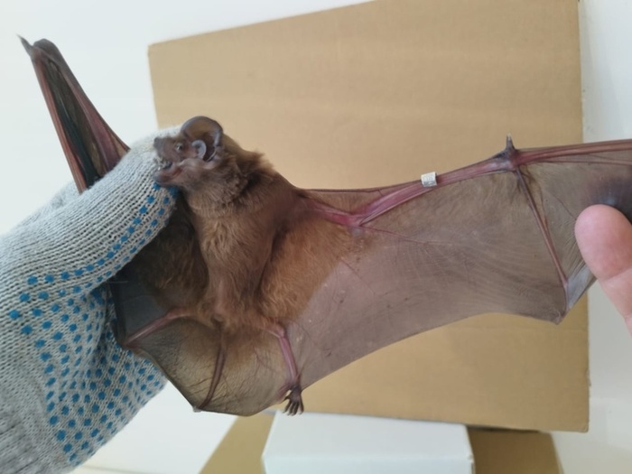 16 друзей Бэтмена в Утрише