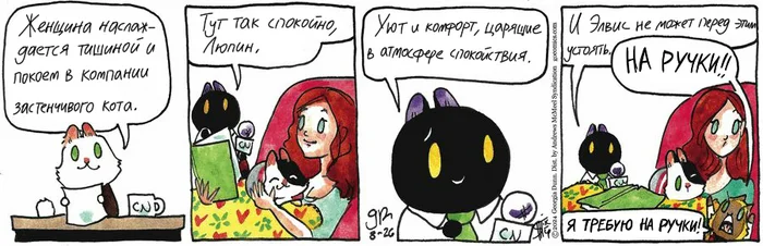 Koteikin News from 08/26/2024 - My, cat, Comics, Koteikin news (comic), Translation