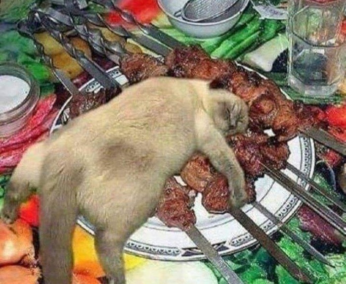 �� ������, �������, �������... ))