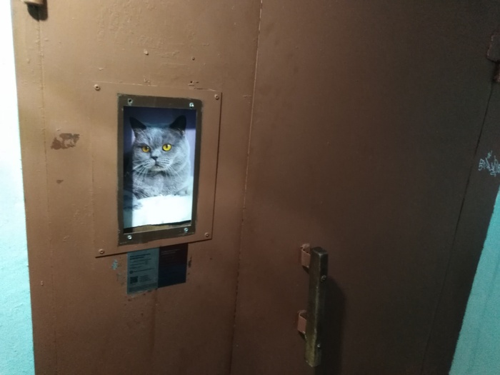 Парадная в спб