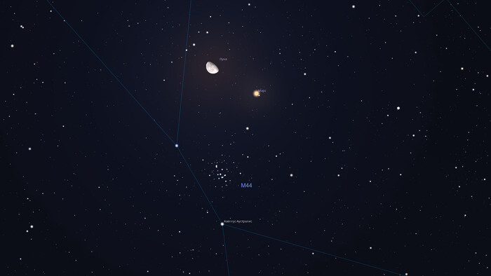   20  21  2024 .            (M44)