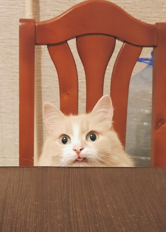 ����� ��� ���������, ��� �������������� ���, � �� ������� ����� � �����������