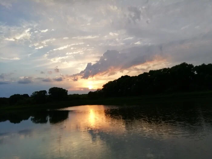 Evening pond - My, Nature, The photo, Mobile photography, Pond, Evening, beauty, View, Beautiful view