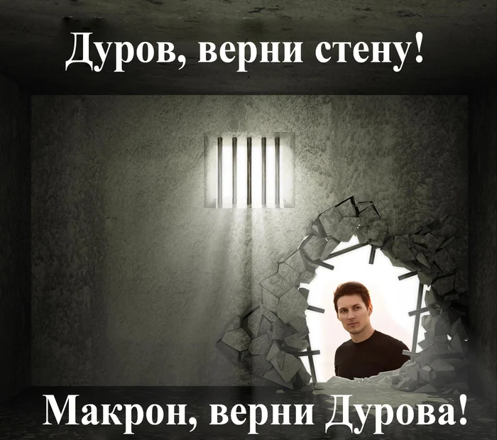 Freedom for parrots! - Pavel Durov, Arrest of Pavel Durov, Picture with text