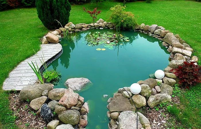 Scheme for creating a pond - Landscape design, Home Pond, Pond