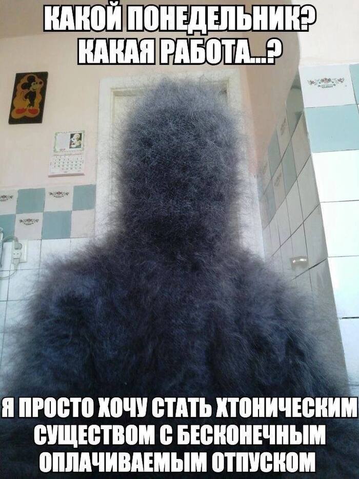  ,   , , , , Telegram ()