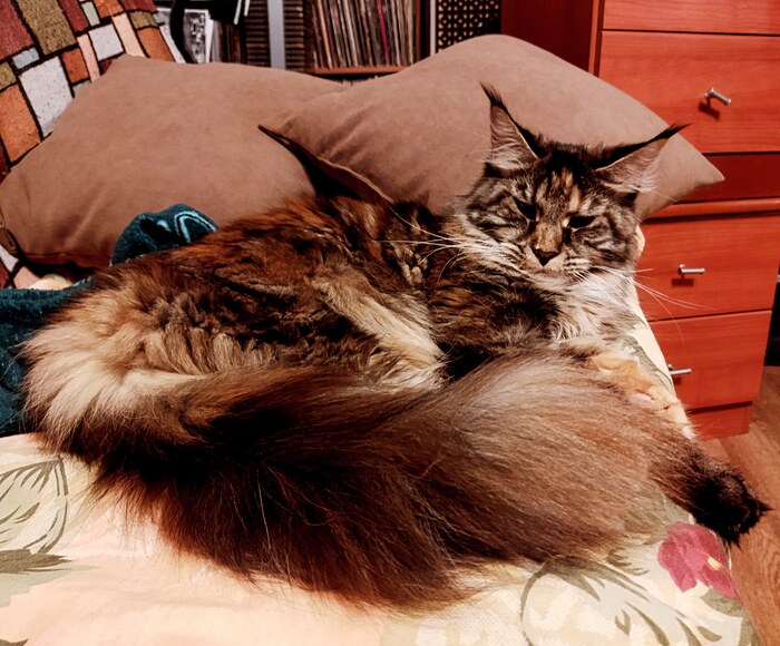 режим обычный