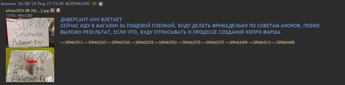 ПРОДОЛЖЕНИЕ НОВОСТИ ПРО ПЕЛЬМЕНИ С КАЛОМ ИЗ ДВАЧА - Новости, Двач, Тупость, Идиотизм, Глупость, Неадекват