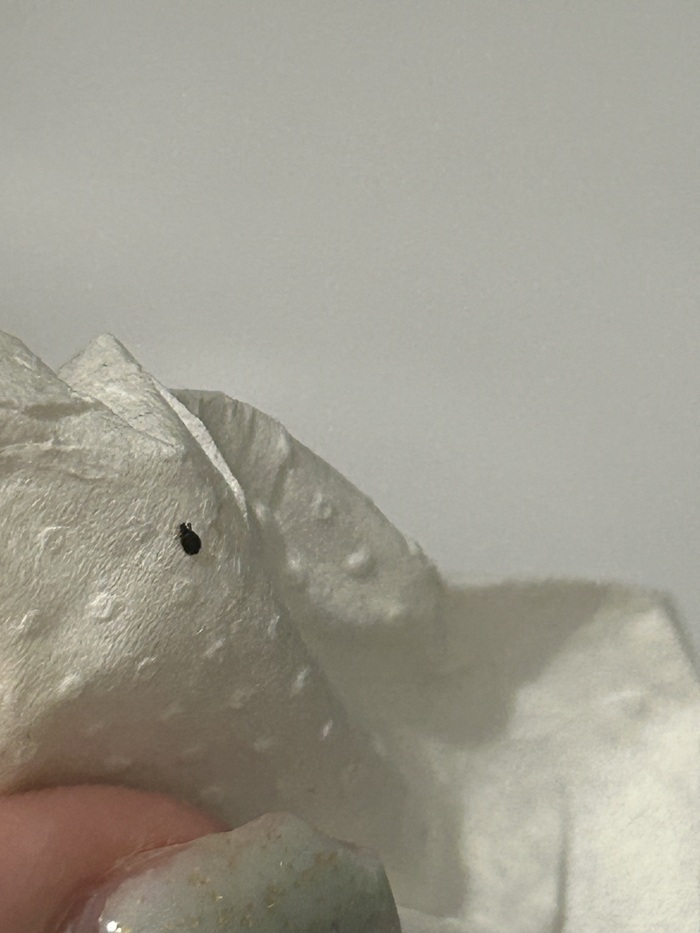 ��� ������ �� ����� , �� �������� ����