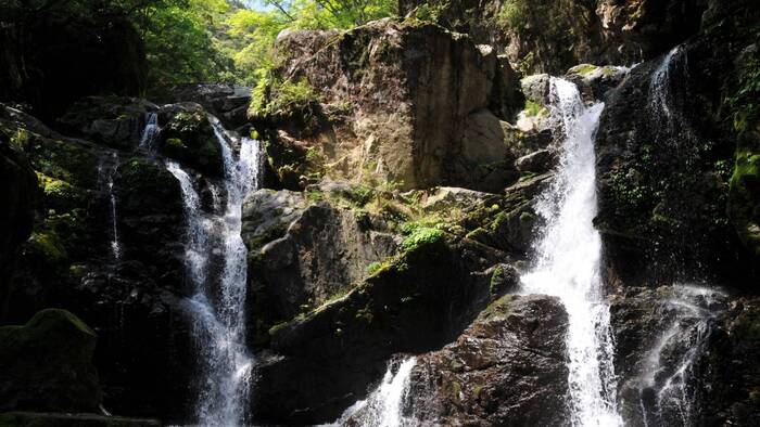 Norovirus discovered in Todoroki Falls, Japan - Health, Norovirus, Japan, Waterfall, Infection, Longpost