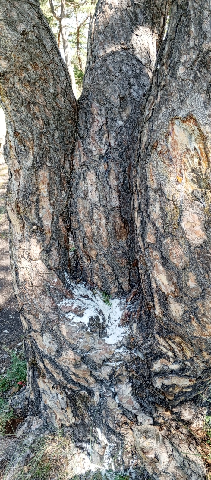 ��������� ������