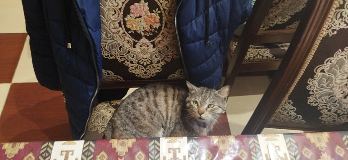 Вот с таким хитро - жалостливым видом он сидел.