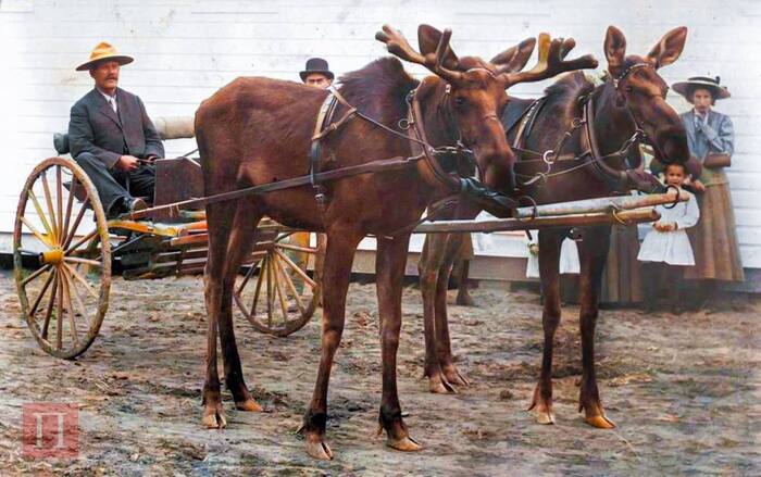 ������� �� �����