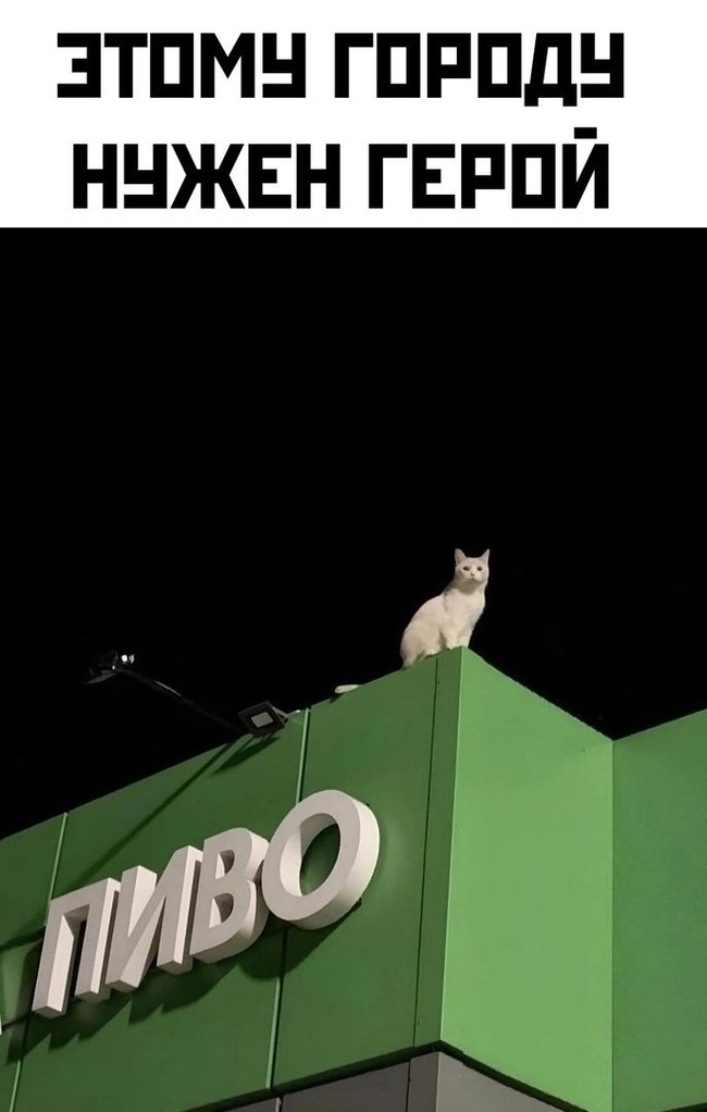 Без заголовка понятно)