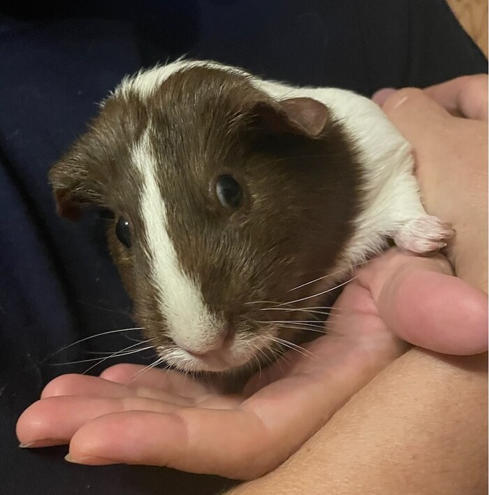 Что значит этот взгляд?