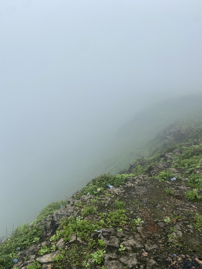 А потом горный перевал и мгновенно +21, дождь, туман и обилие зелени.