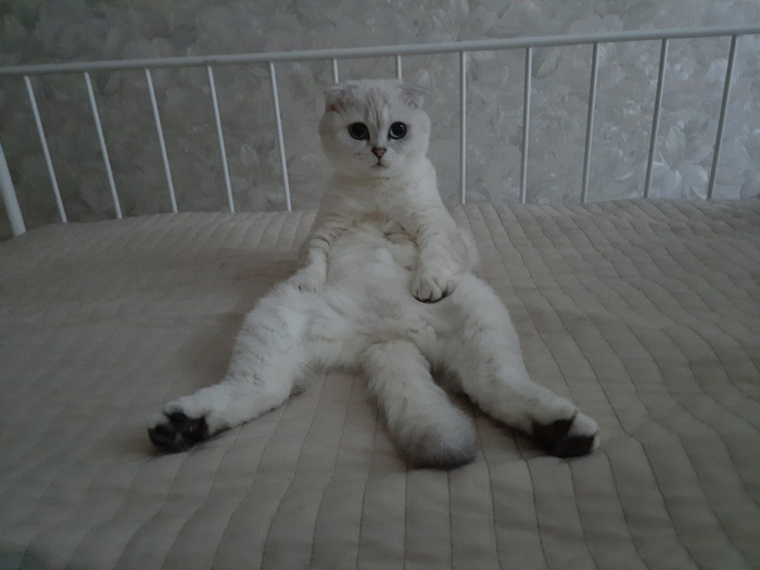 2015. � ��� � ����� ��������� �����.