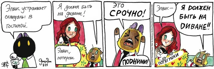 Koteykin News from 08/27/2024 - My, Translation, Koteikin news (comic), Comics, cat