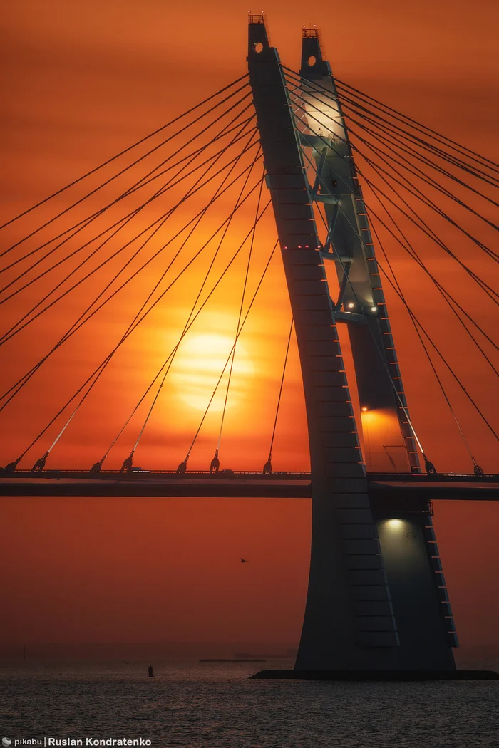 Cable-stayed bridge across the shipping channel - My, The photo, Canon, Saint Petersburg, Town, Evening, Sunset, Collage, Longpost