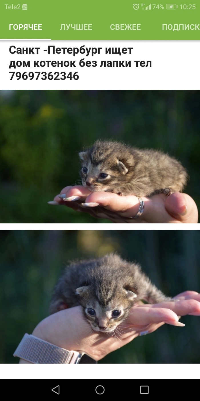 Своя квартира