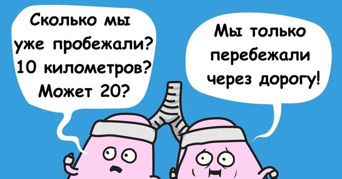 6 ДОБАВОК ПЕРЕД ТРЕНИРОВКОЙ - ЗОЖ, Здоровье, Исследования, Развитие, Мозг, Длиннопост