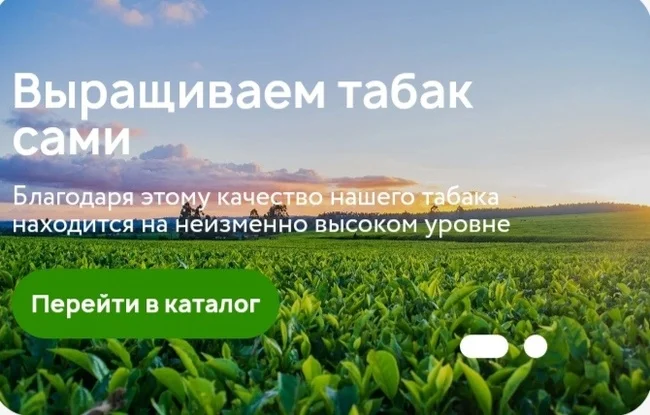 Крафтовый табак от компании BK TOBACCO Америка Бленд - Моё, Сигареты, Курение, Табак, Длиннопост