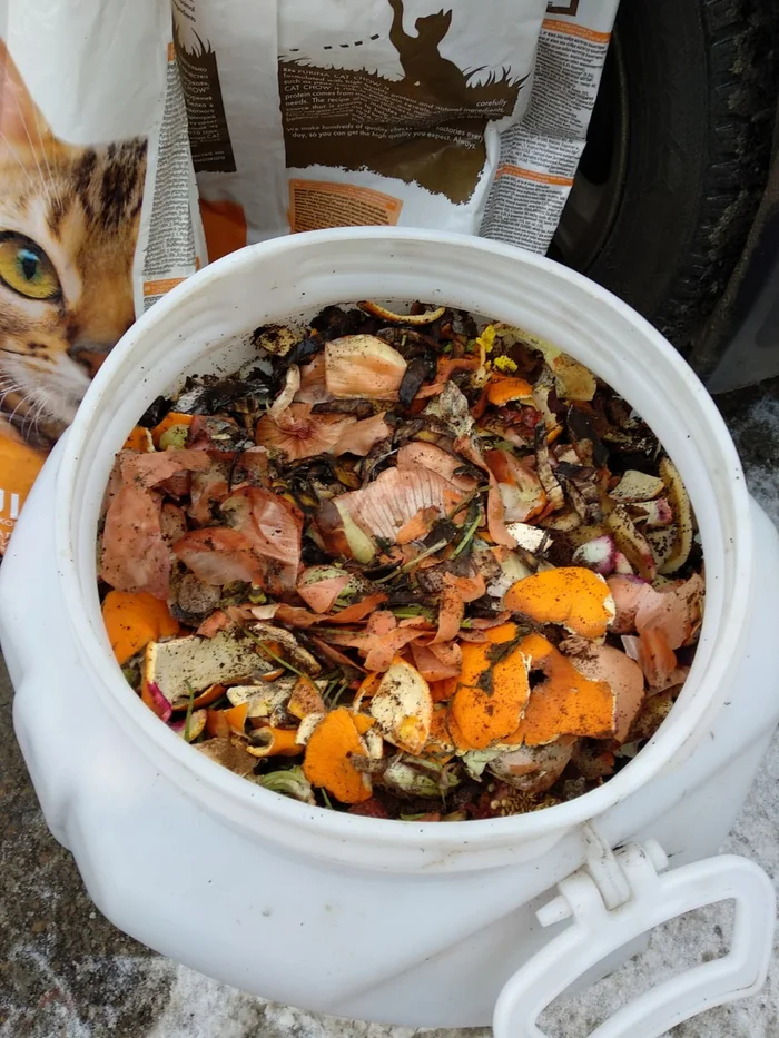 Kazan launches food waste recycling program - Ecology, Scientists, Garbage, The science, Research, Kazan, Tatarstan, Waste recycling, Longpost