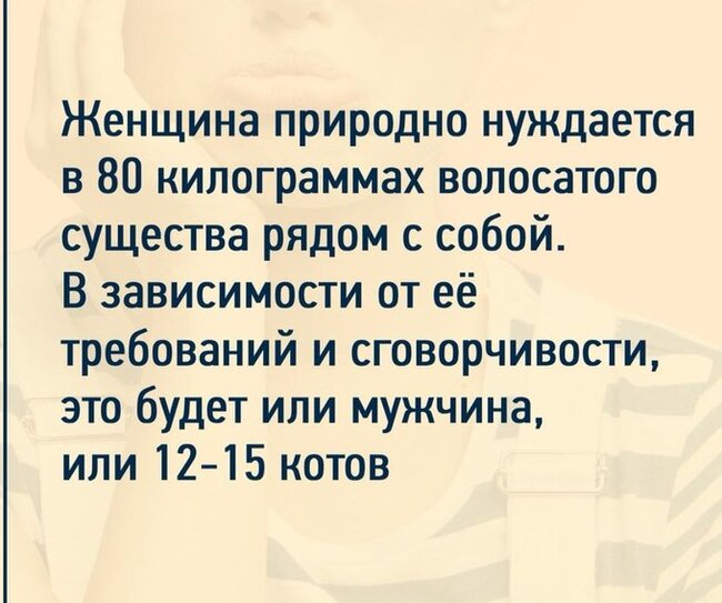 Чтобы вы знали - Забавное, Юмор, Скриншот, Картинка с текстом, Женщины, Мужчины, Кот