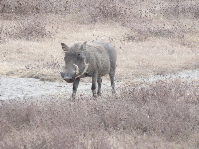 ������������