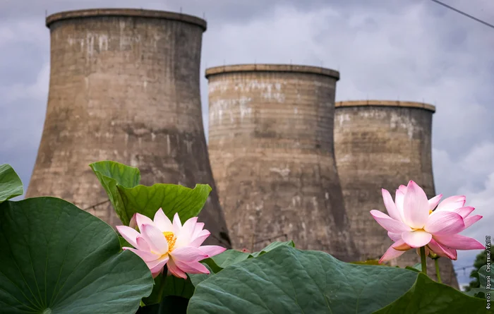 Famous lotuses at the cooling towers of Artyom - My, 15 years ago, Cooling tower, Lotus, Дальний Восток, Longpost