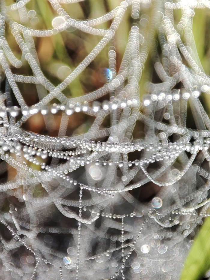 Do you like mornings? They got you too! - My, Morning, Web, Longpost