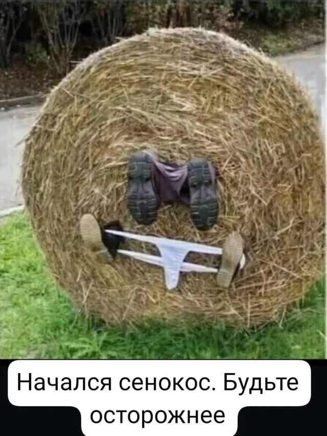 Humor - Humor, Black humor, Strange humor, Images, Picture with text, Hay, Repeat, Hardened, Haymaking