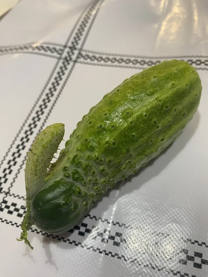 Are you so happy to see me? - Cucumbers, Penis, Harvest, Pareidolia, The photo, It seemed