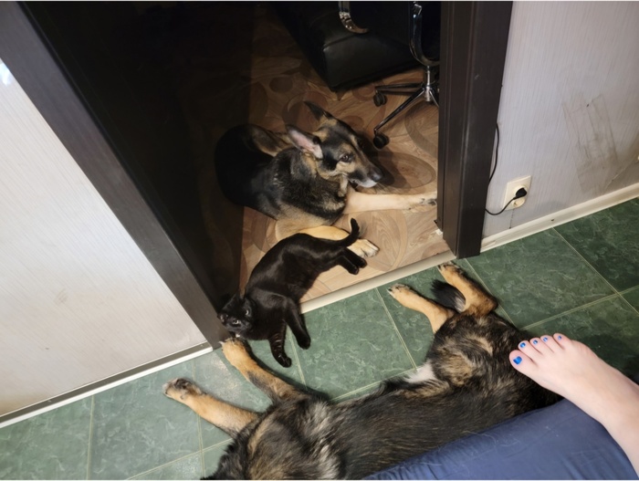 Семейный отдых