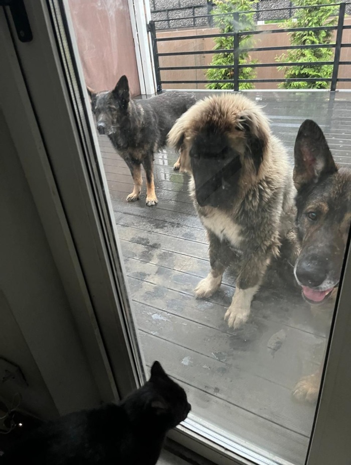 Вы к кому? У нас все дома.