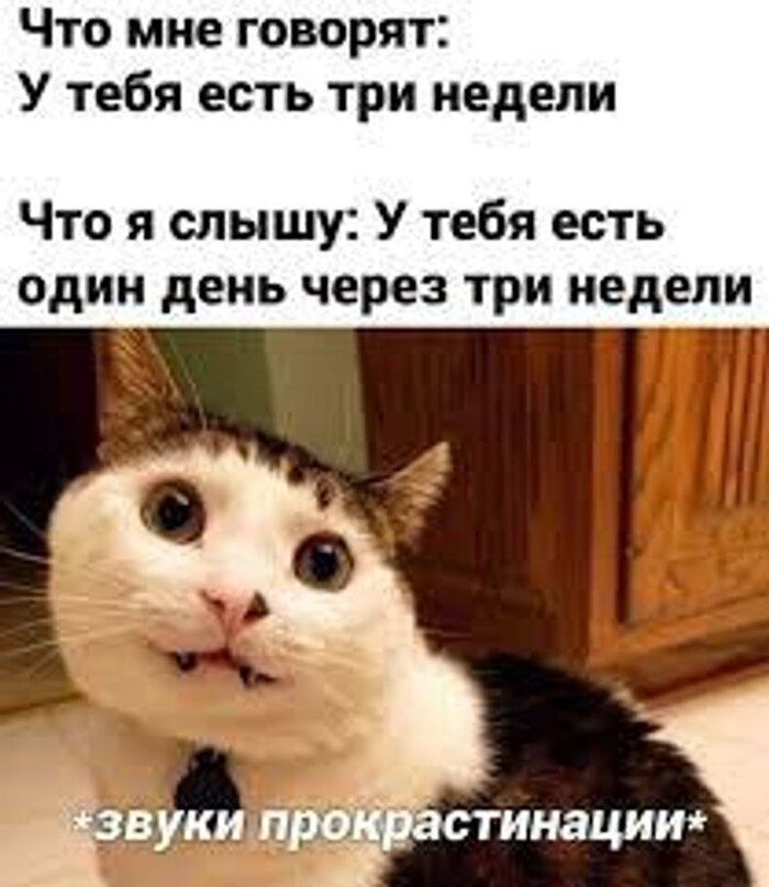   , , , , , Telegram (),   