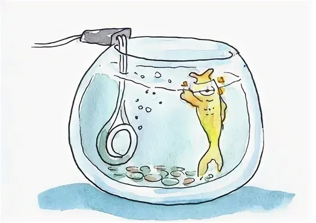 ���������� ����