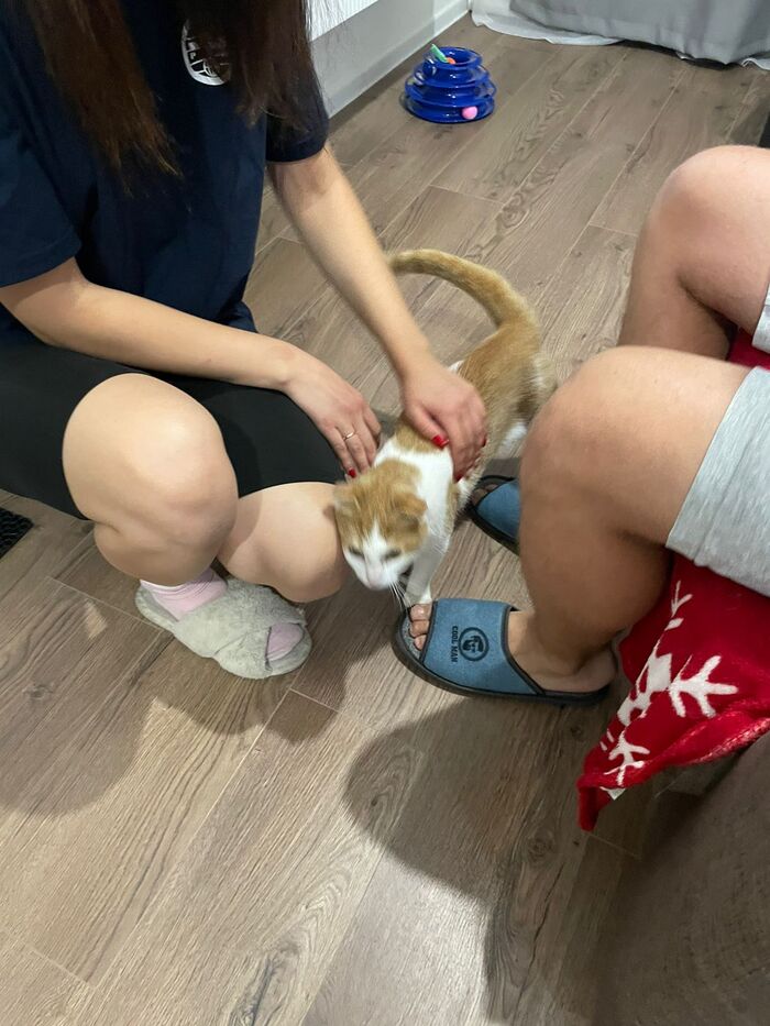 Продолжение поста «Я очень устала ждать. Где же ты единственный...»