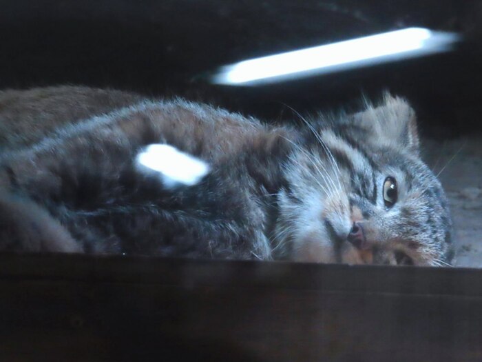 Когда там уже каникулы.... надоело...