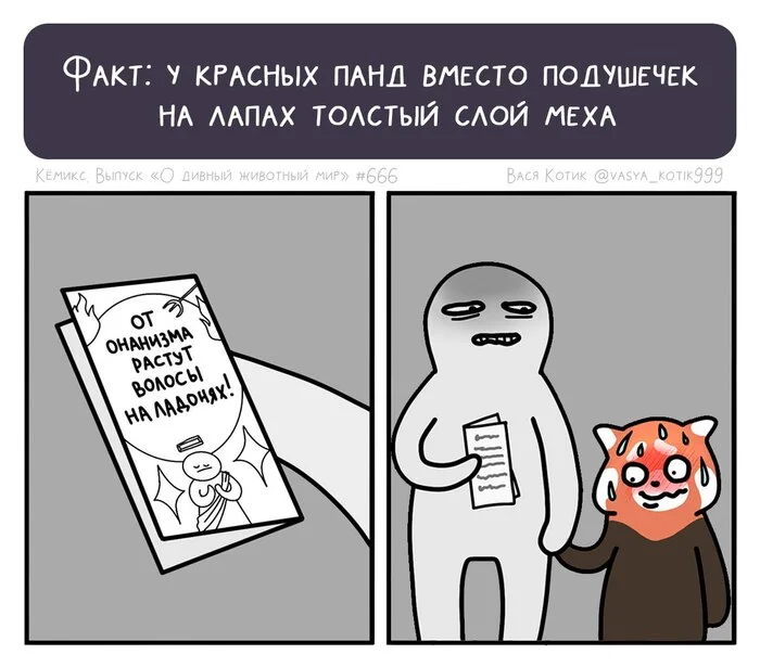 Ответ на пост «Вы знали, что у красной панды нет     подушечек на лапах?» - Моё, Красная панда, Животные, Дикие животные, Смешные животные, Авторский комикс, Ответ на пост